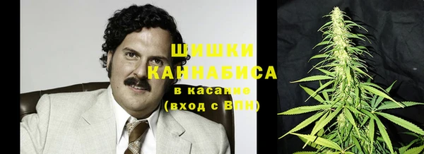 винт Аркадак