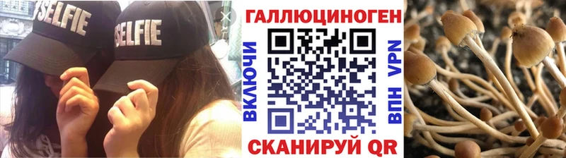 купить  сайты  Мытищи  Галлюциногенные грибы мицелий 