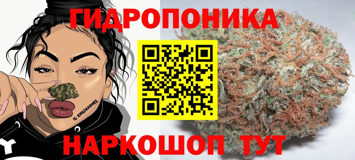 Бошки Шишки White Widow  Конопля конопля  Мытищи  Вход с VPN  Бошки Шишки AK-47  Бошки марихуана Ganja 